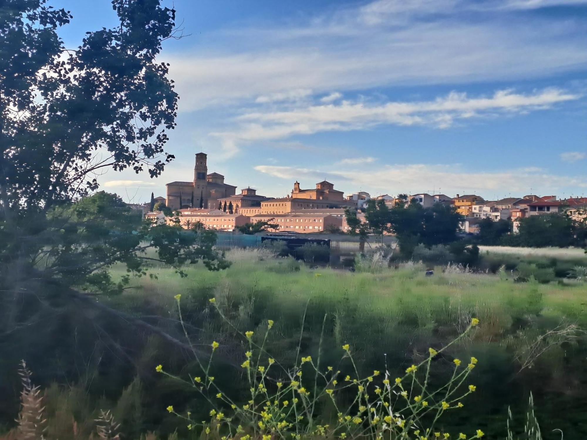 Apartamento Rural Isla Esencia De Bardenas Navarra Villafranca Exterior foto